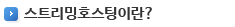 스트리밍호스팅이란?